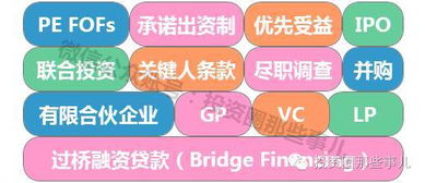 股權投資與投資管理 解讀現(xiàn)代資本運作的雙翼